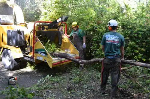 tree services Coronado